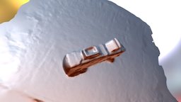 A TRNIO Model