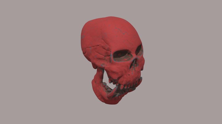 Red skull 3D Model