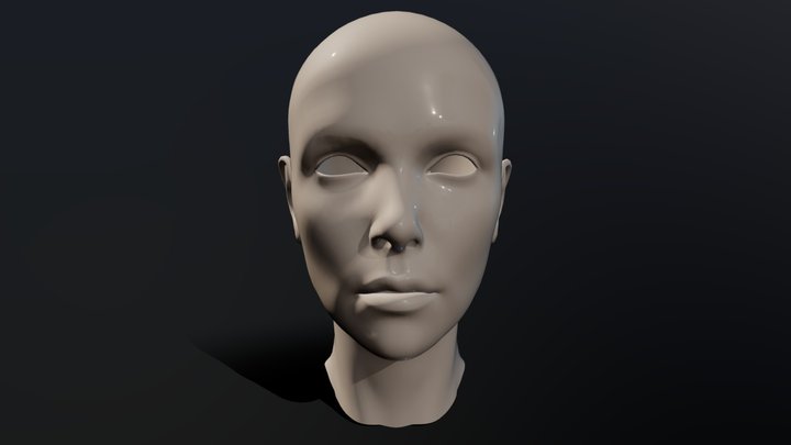 Ocean Drive Plastic Surgery Face 3D Model