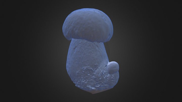 Stone Mushroom (Detail) 3D Model