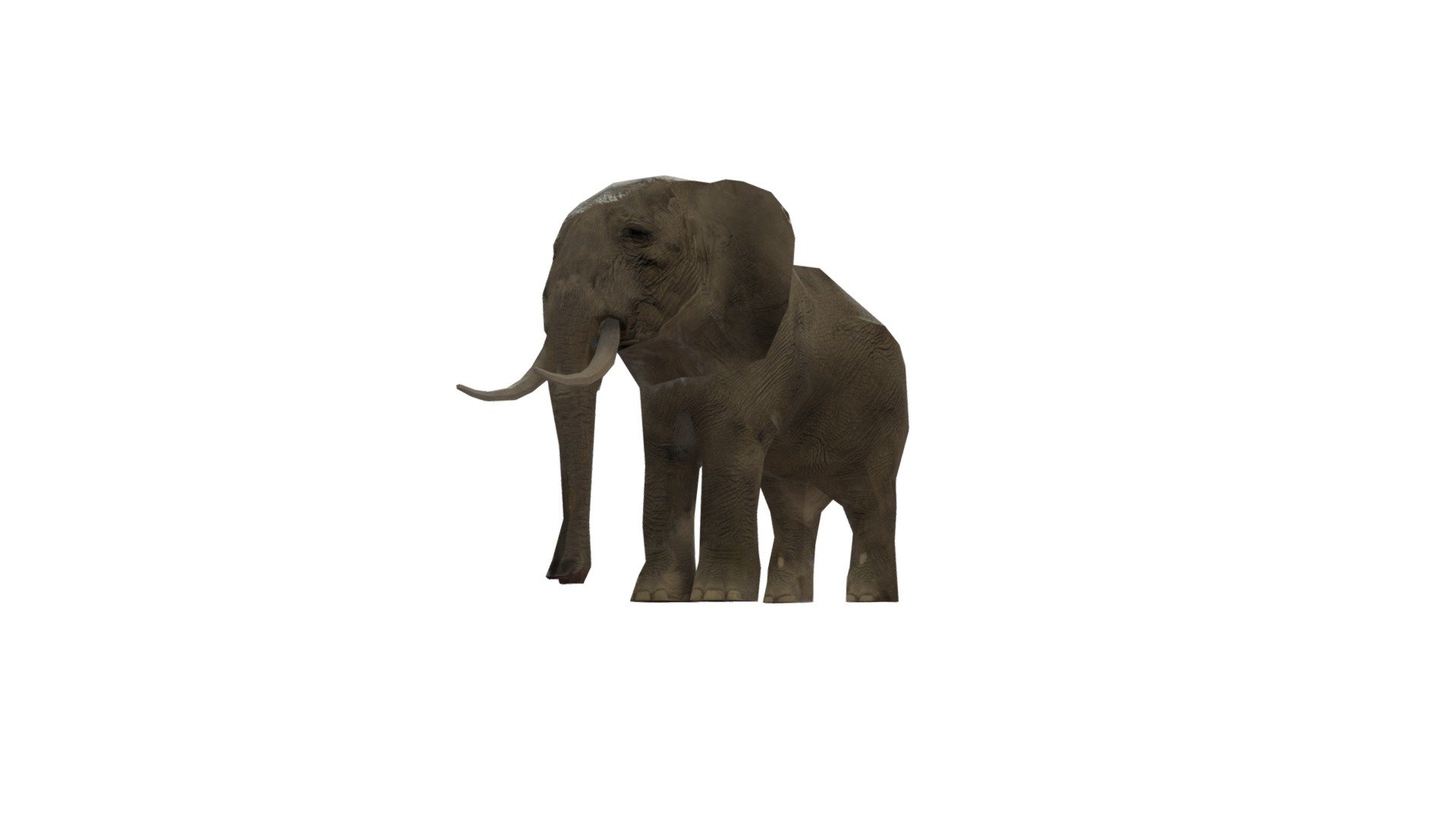 Слон - Download Free 3D model by mariaagapova29 [77e0384] - Sketchfab
