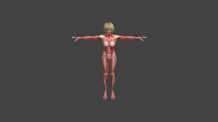 female_titan 3D Model