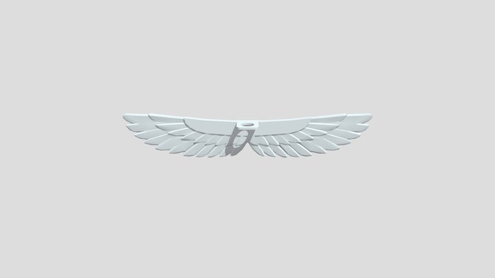 Bird Wings 3D Model