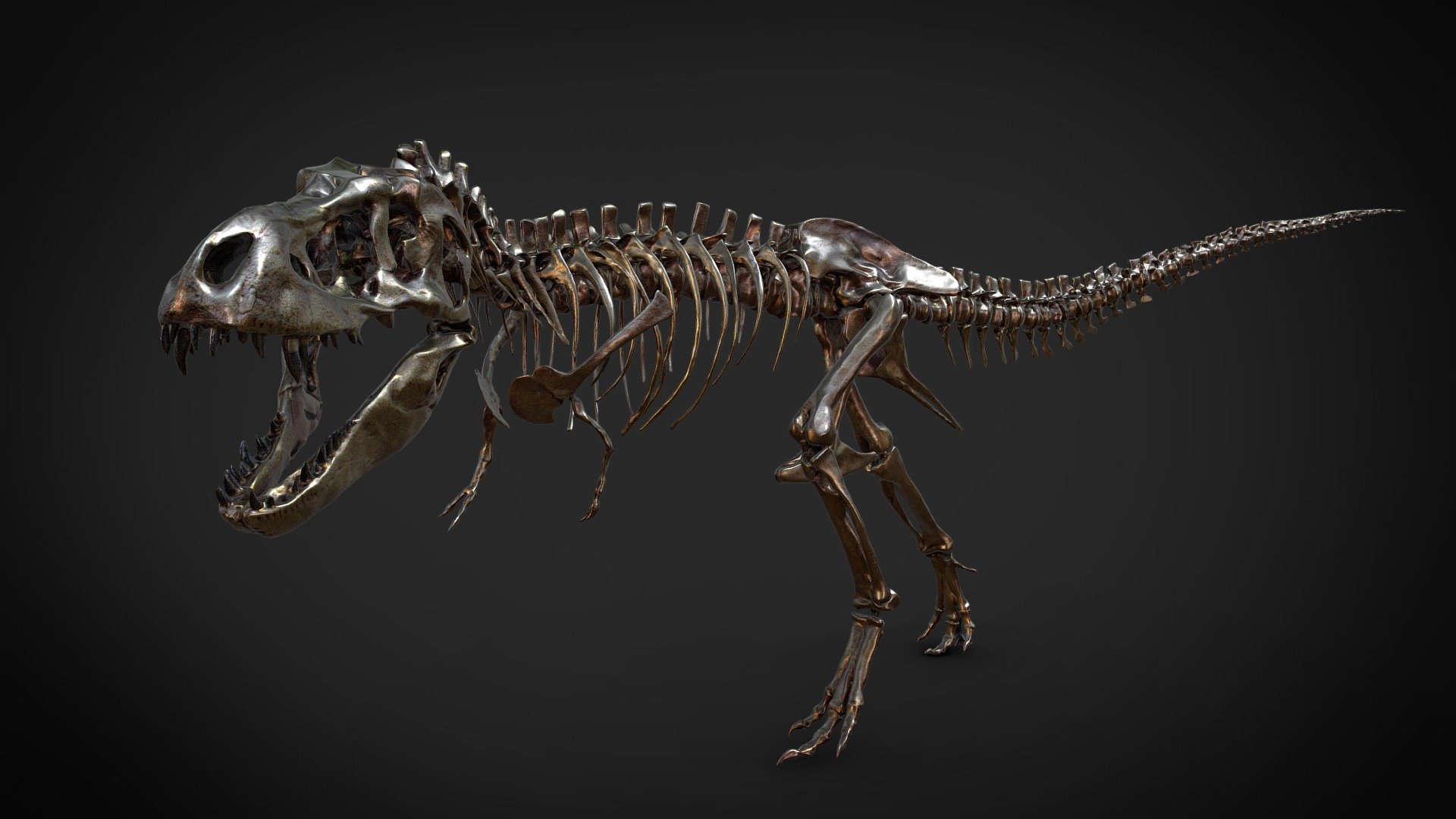 Tyrannosaurus Rex skeleton Download Free 3D model by Rigsters