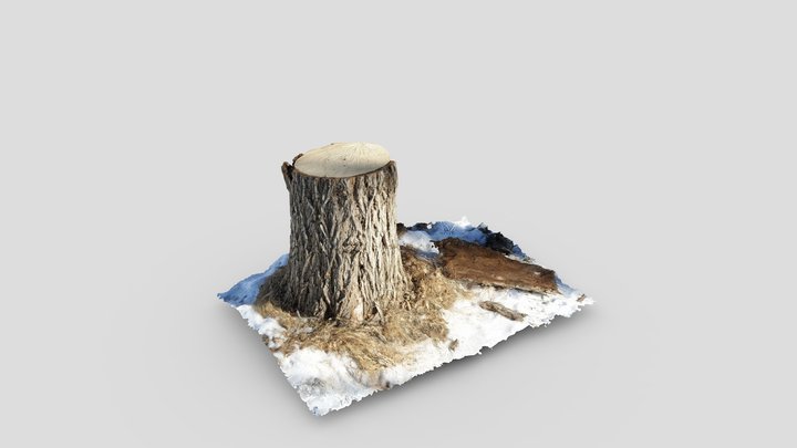 Winter Stump 3D Model