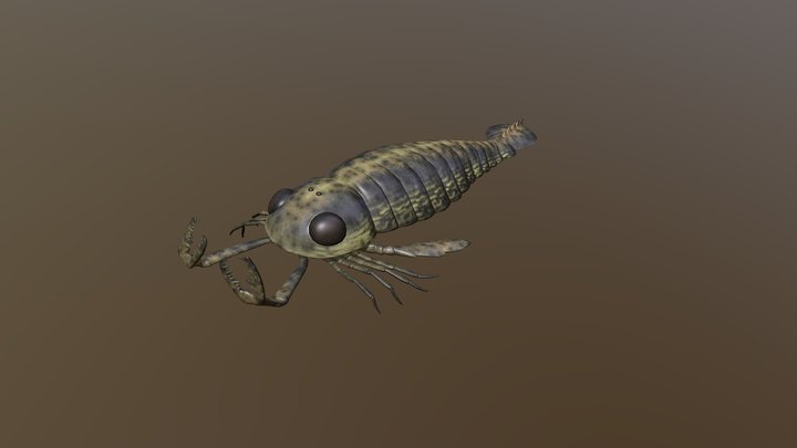 Pterygotus by Dino Raul