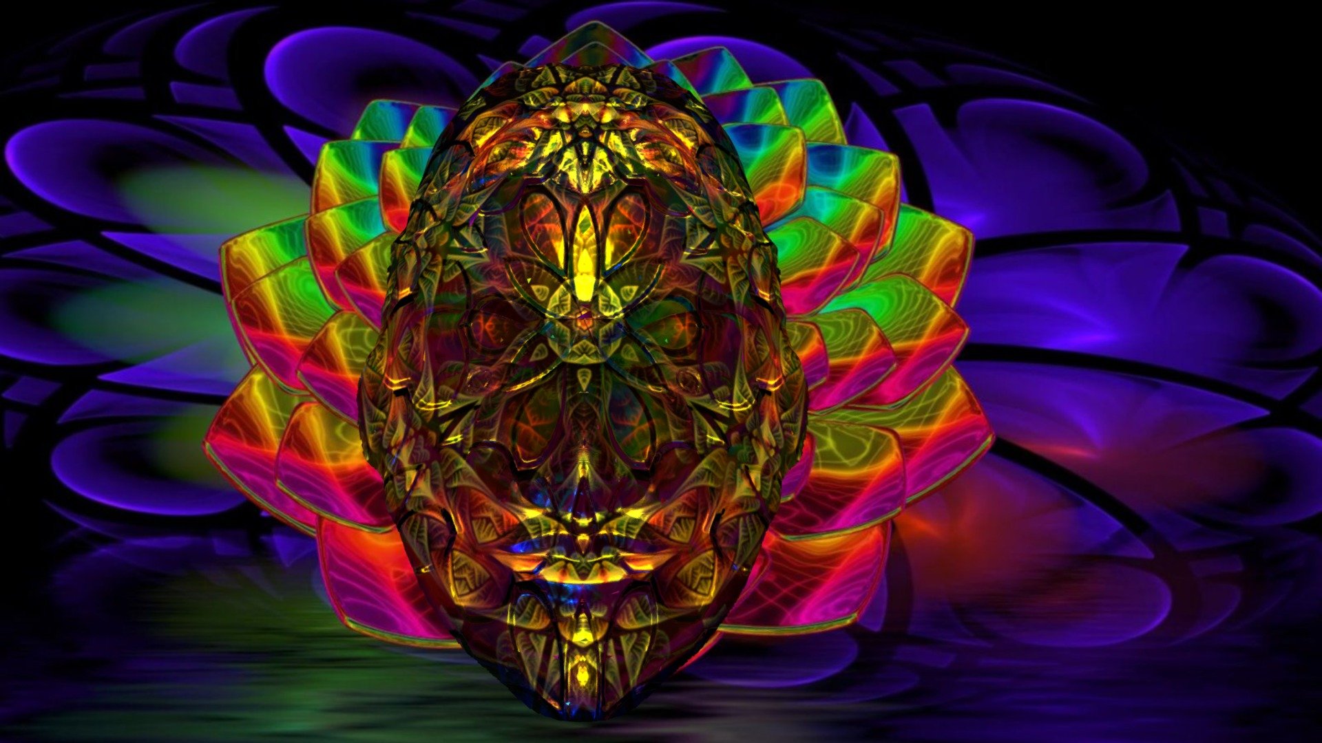 Lotus meditation