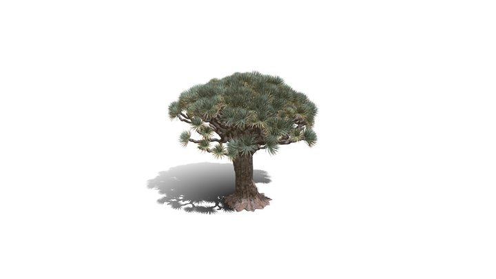 Realistic HD Dragon tree (50/50) 3D Model