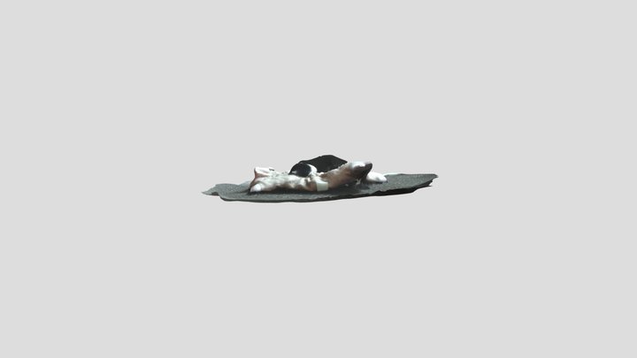 model 3D Model
