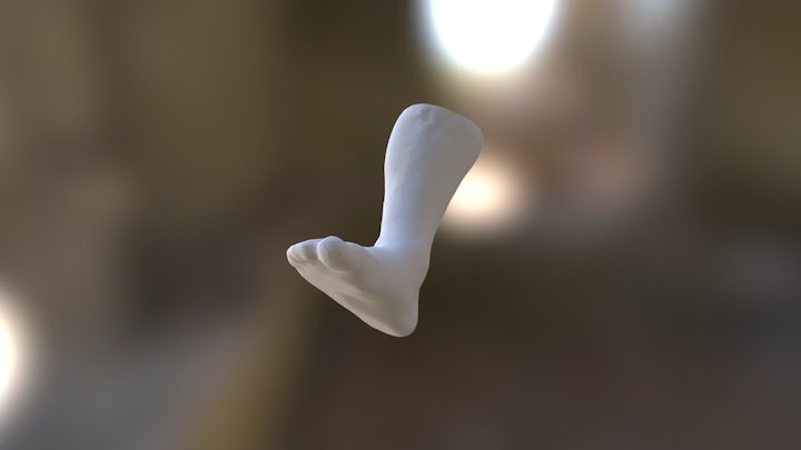 My very own right foot! 3D Model