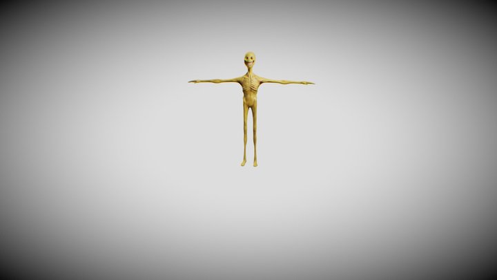 Verity 3D models - Sketchfab