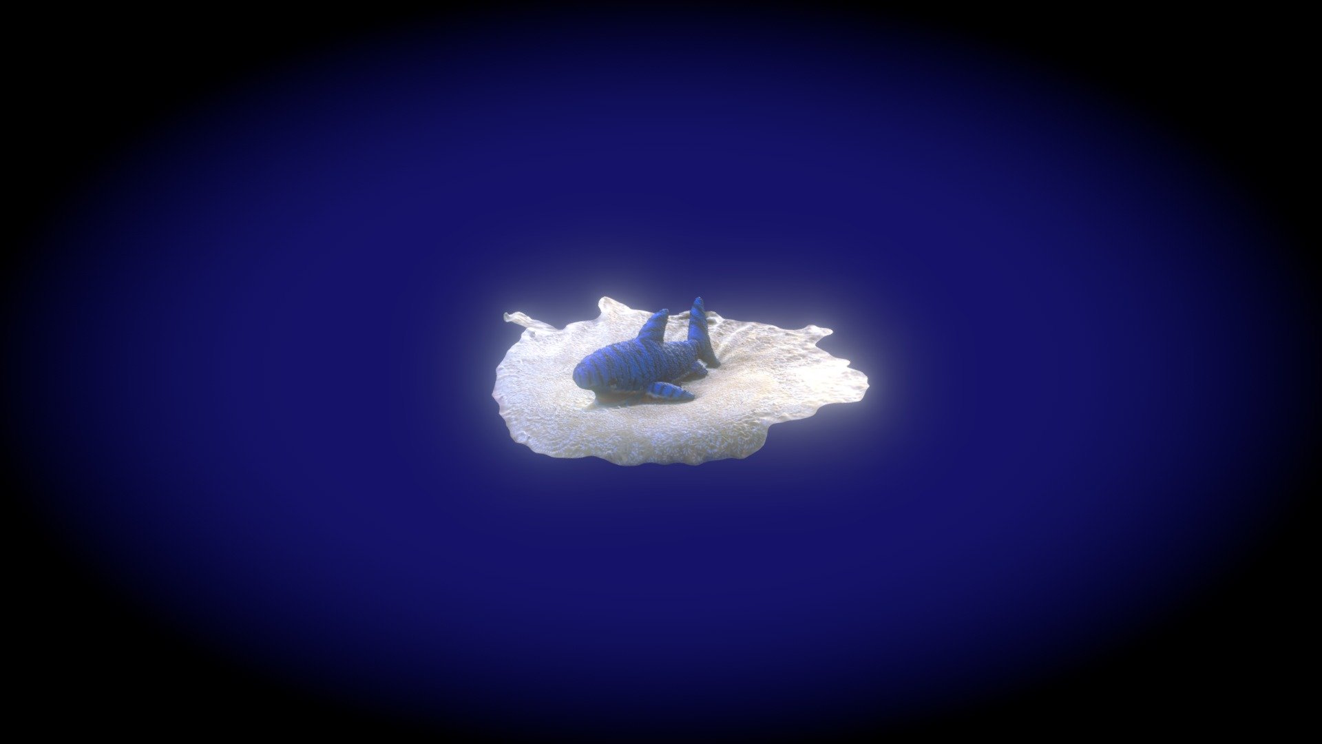 Sharky Simplified 3d Mesh