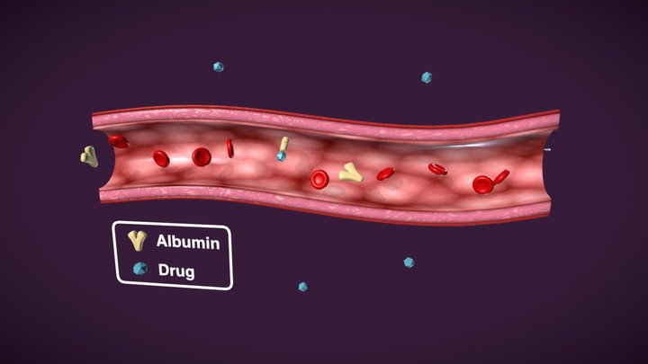 Albumin and Protein Binding 3D Model