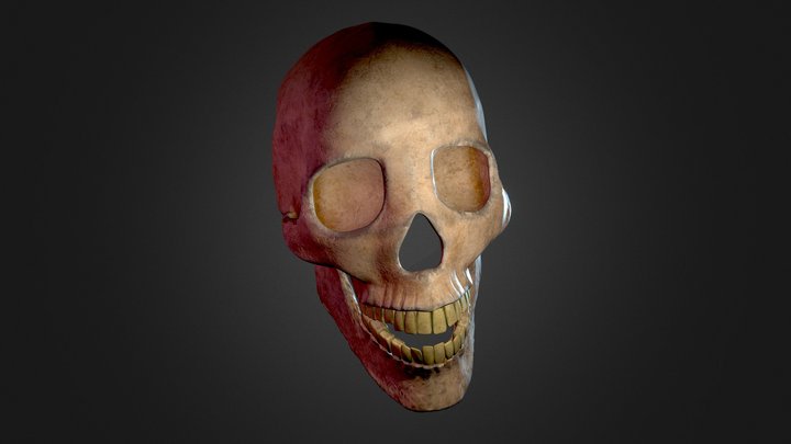 Bobtheskull 3D Model