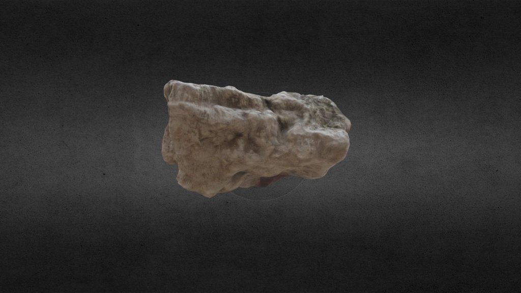 Coral Sample