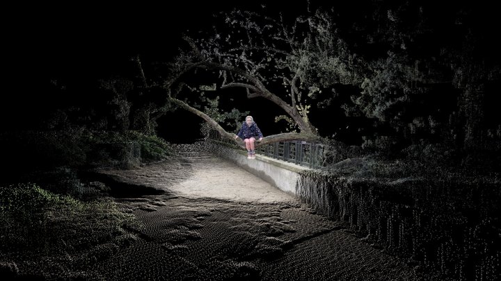 Ada sur l'arbre 3D Model