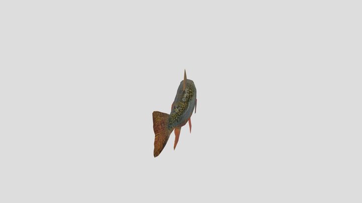 Salvelinus Alpinus_ Anim 3D Model