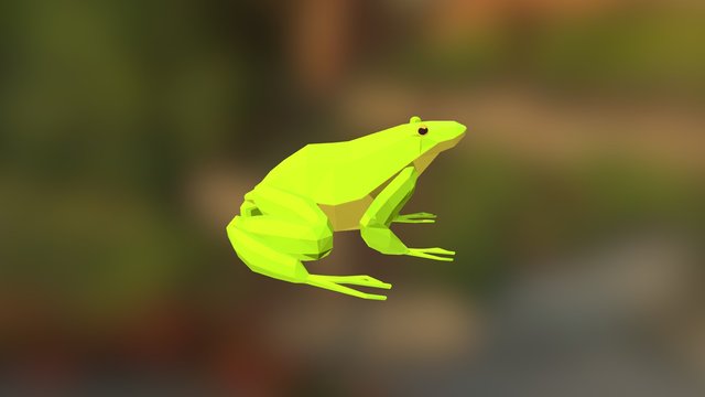 Low poly frog 3D Model