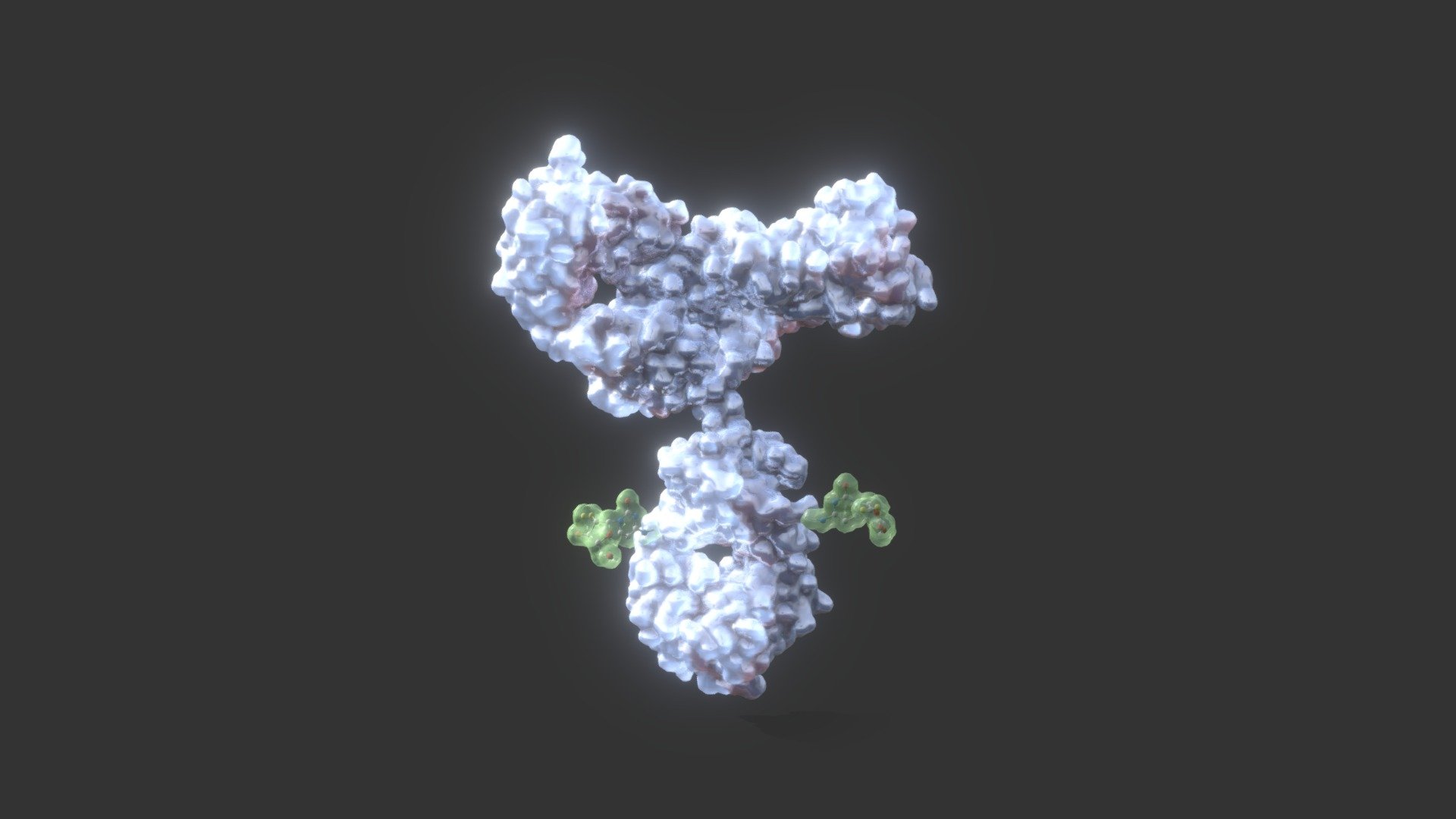 Antibody - 3D model by 3dforscience [780838b] - Sketchfab