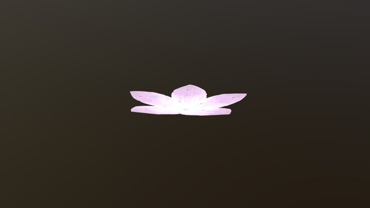 3D Petal Array Model 3D Model