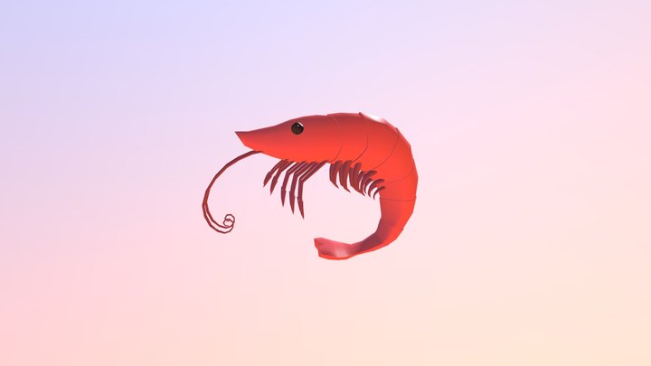 Shrimp 3D Model
