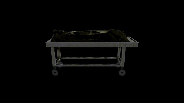 Body bag on Examination Table 3D Model