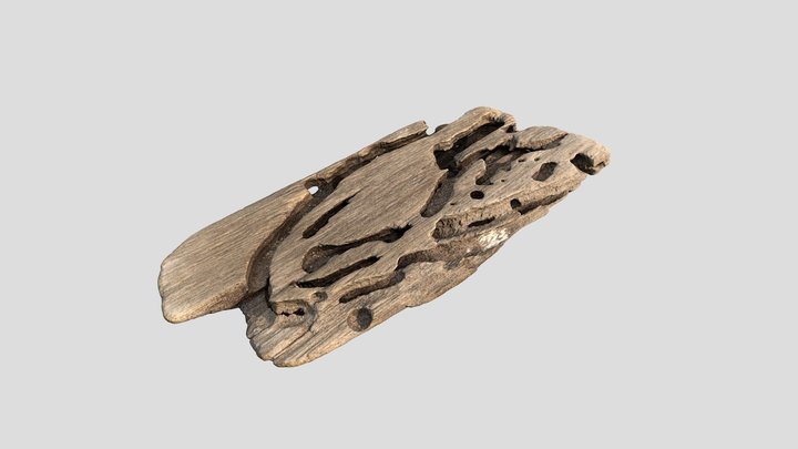 Driftwood with Wormholes 3D Model