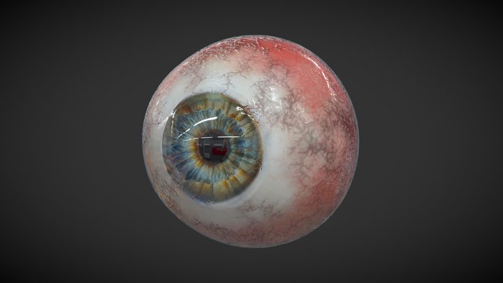 My eye model 2 3D Model