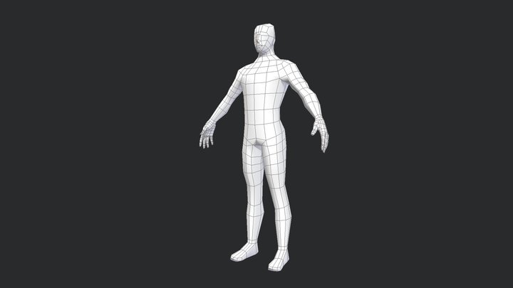 Human Base Mesh Male 3D Model