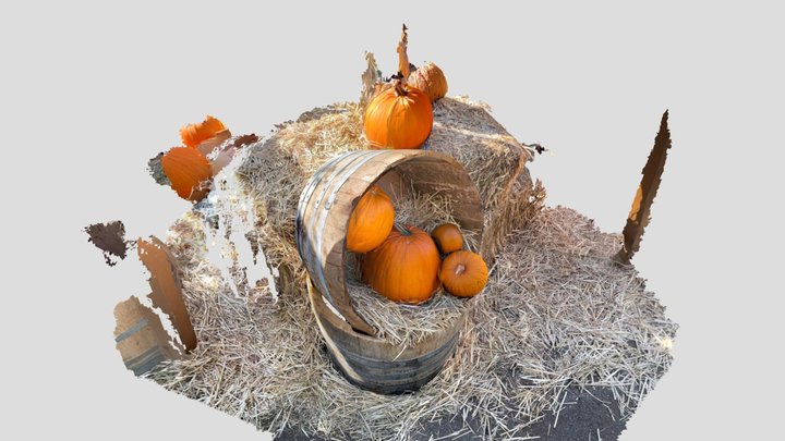 Pumpkins 3D Model
