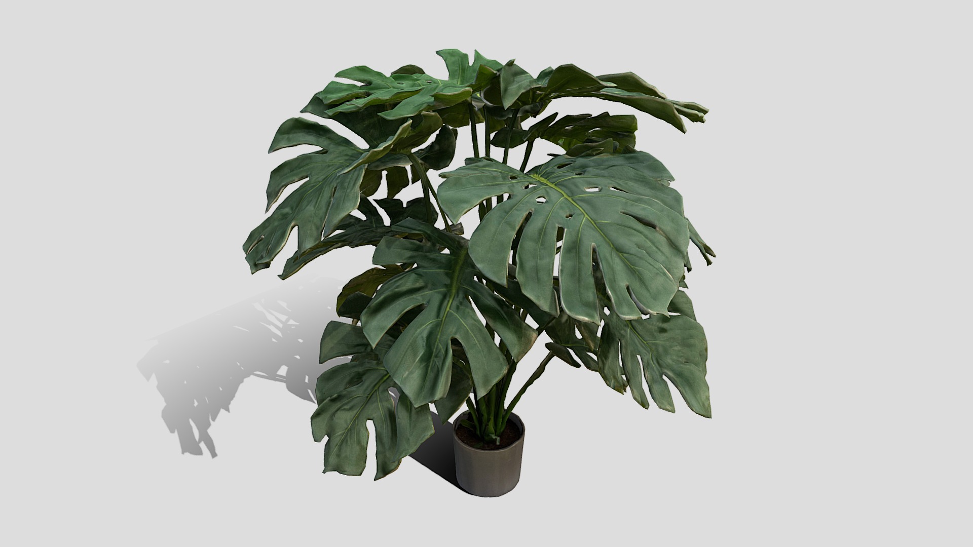3D model 000055_151110 - This is a 3D model of the 000055_151110. The 3D model is about a potted plant with a shadow.