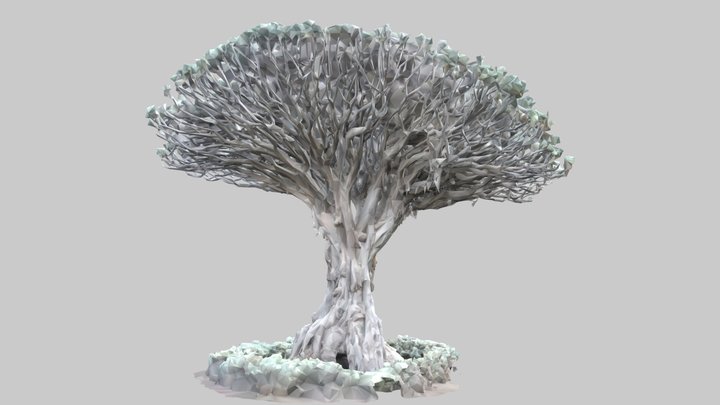 AR_ Vcolor Export_ Decimate01_ 3D Model