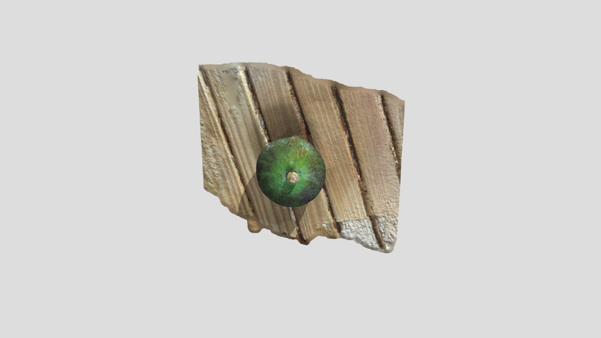 Objeto_Palta
