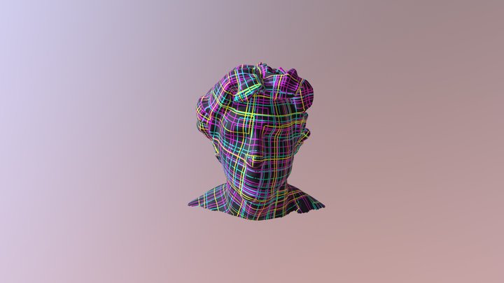 Head Scan 2 3D Model