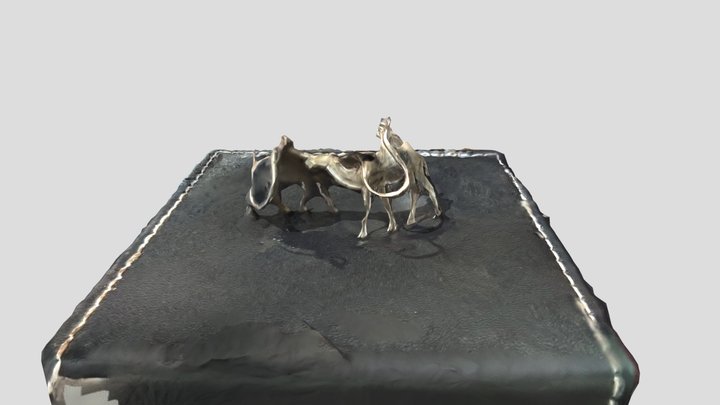 Camels 3D Model