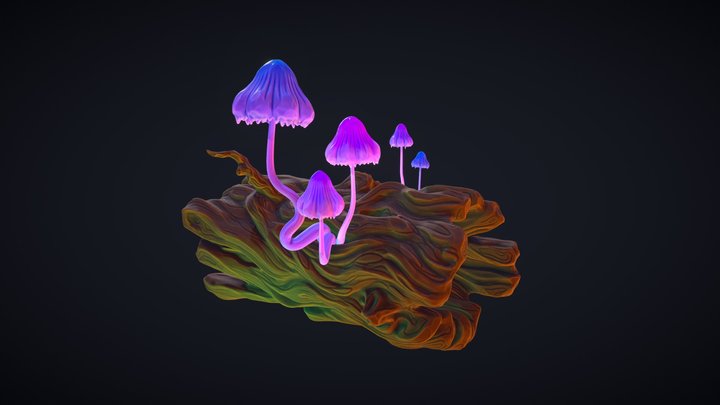 Magic Mushrooms in Moonlight 3D Model