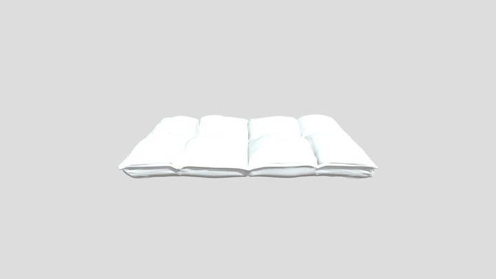flat 3D Model