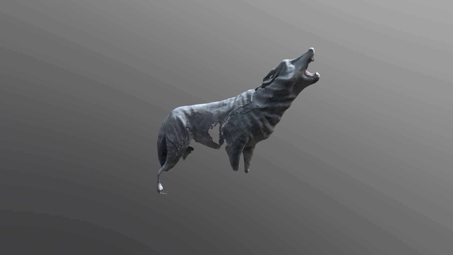 Wolf Adult