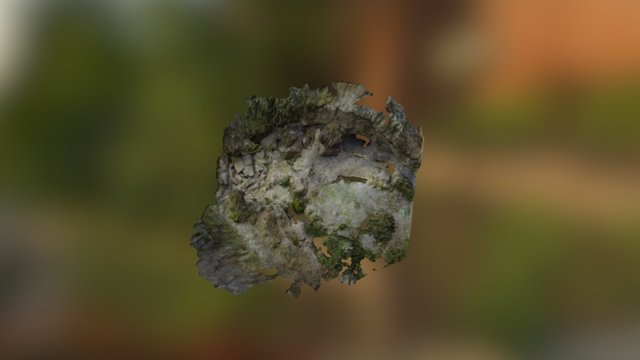 Modelo_minas_artesanales 3D Model