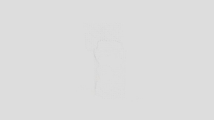Sontc everypoint 3D Model
