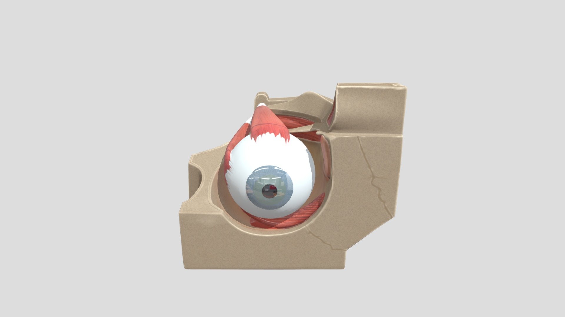 Ojo