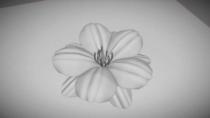 Flower 3D Model