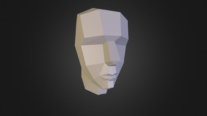 Face 3D Model