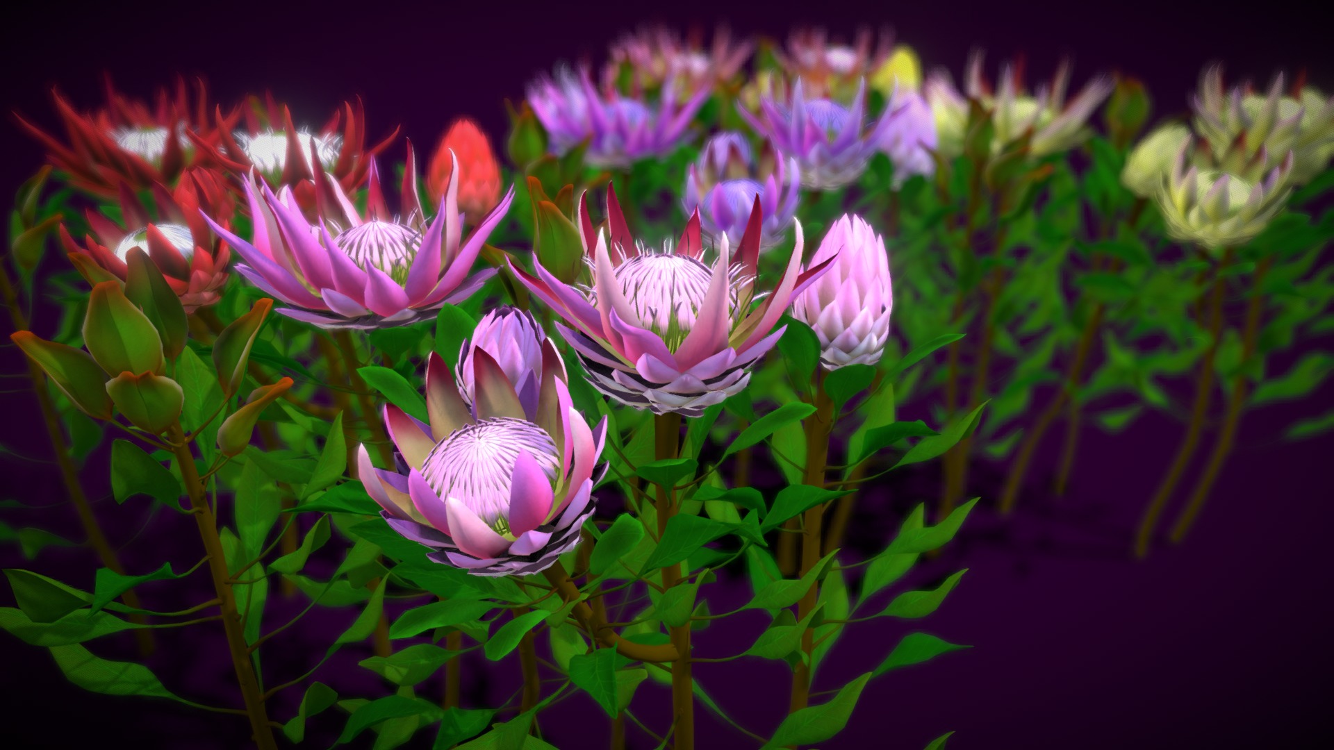 3D model Flower Protea King - This is a 3D model of the Flower Protea King. The 3D model is about a group of flowers.