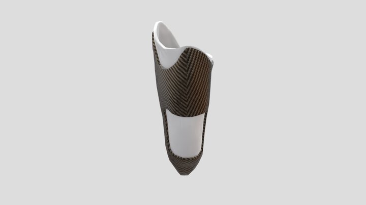 prothese baked and enriched 3D Model