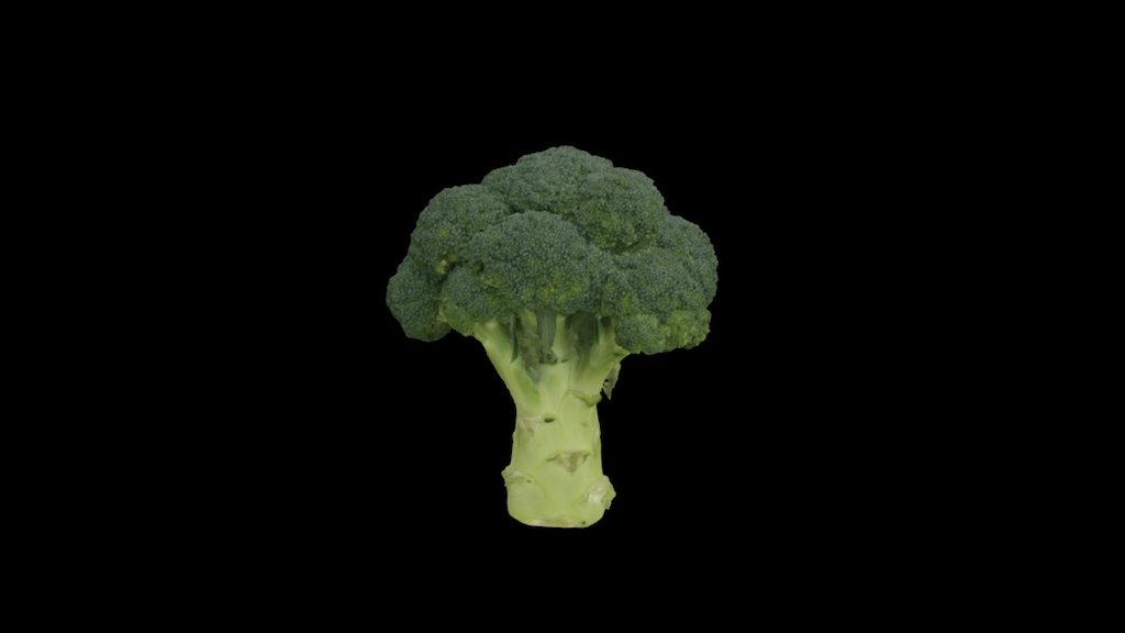 Broccoli - Horn of Plenty Contest
