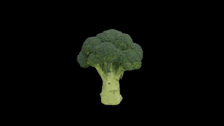 Broccoli - Horn of Plenty Contest 3D Model