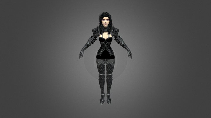 Lady Knight 3D Model