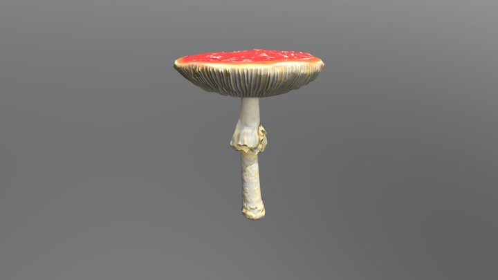 GART_CDV_MushroomRed_03 3D Model
