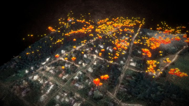 Smoke Signals: bushfire-prone canopy, Penneshaw 3D Model
